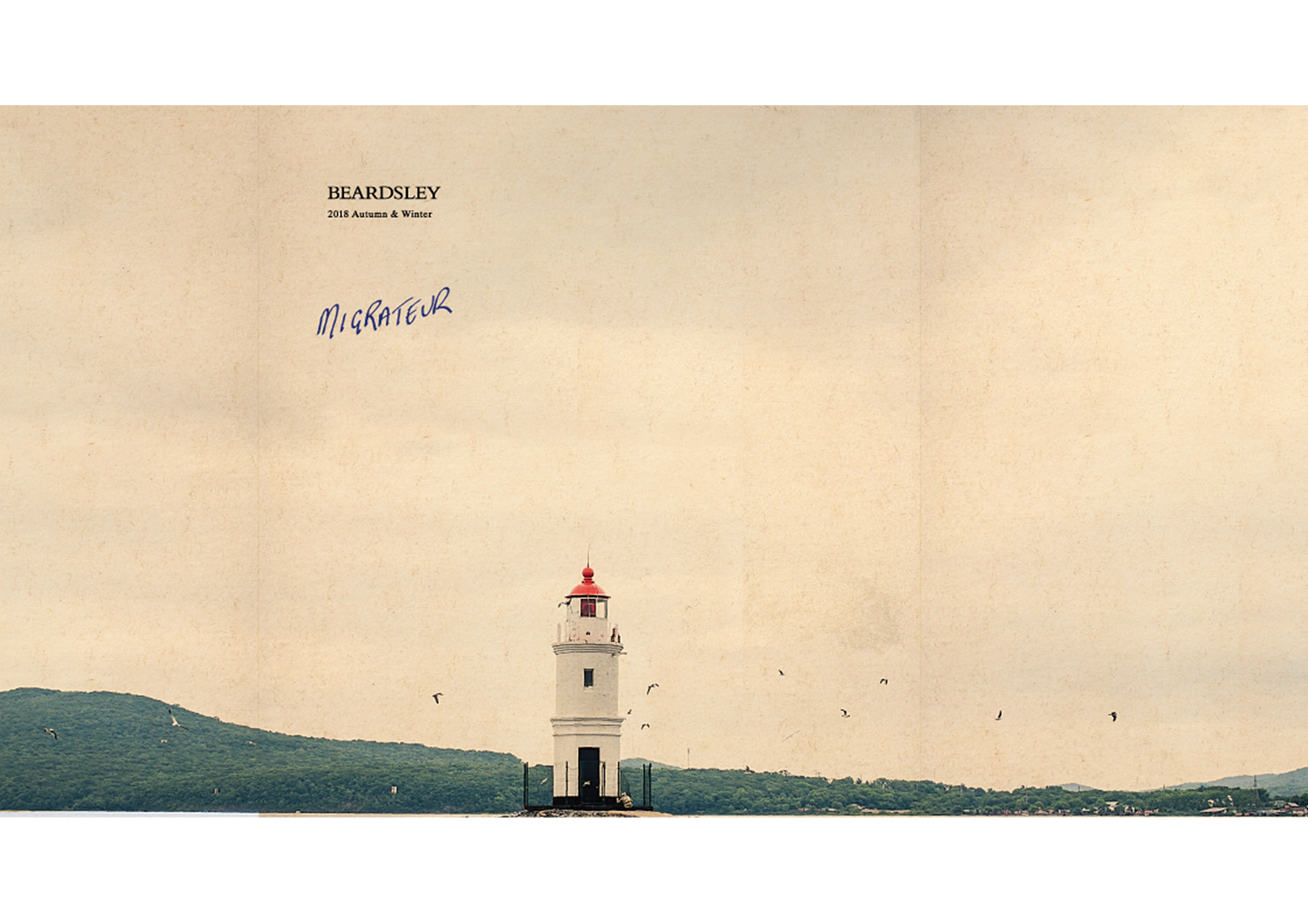 CATALOG | BEARDSLEY ビアズリー