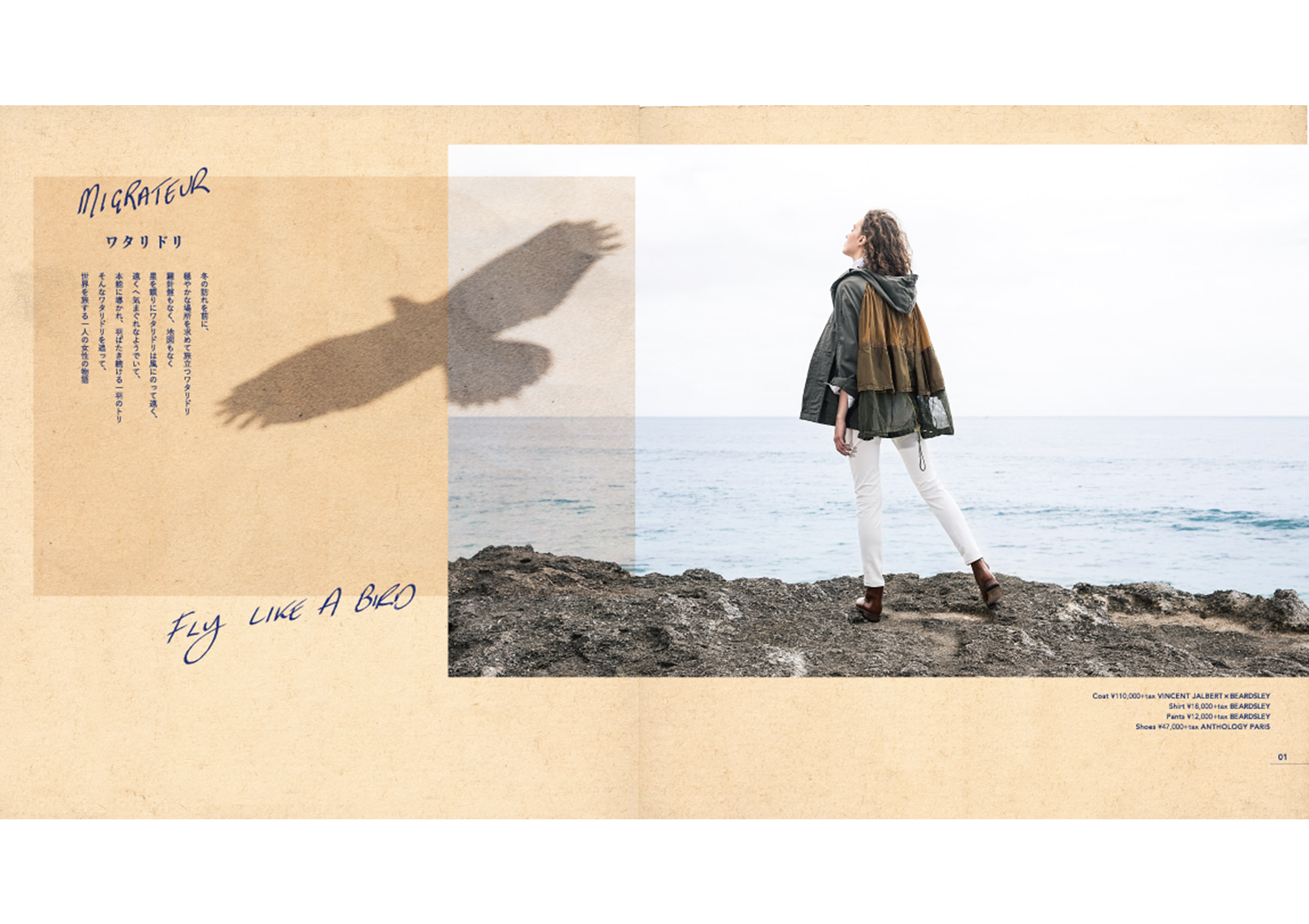 CATALOG | BEARDSLEY ビアズリー