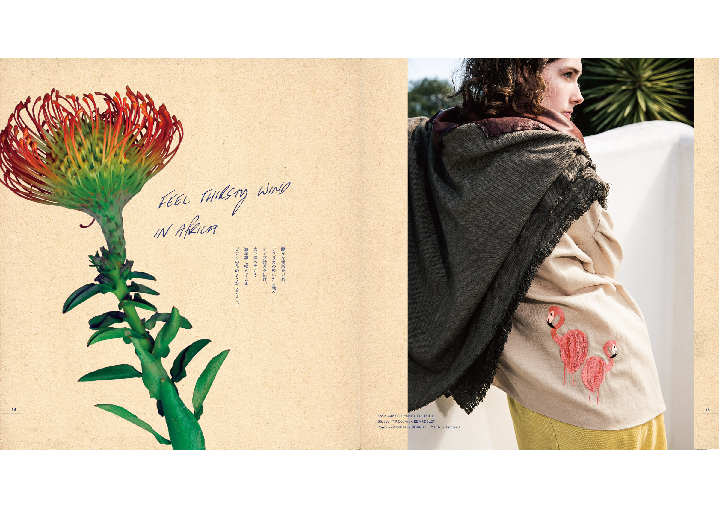 CATALOG | BEARDSLEY ビアズリー
